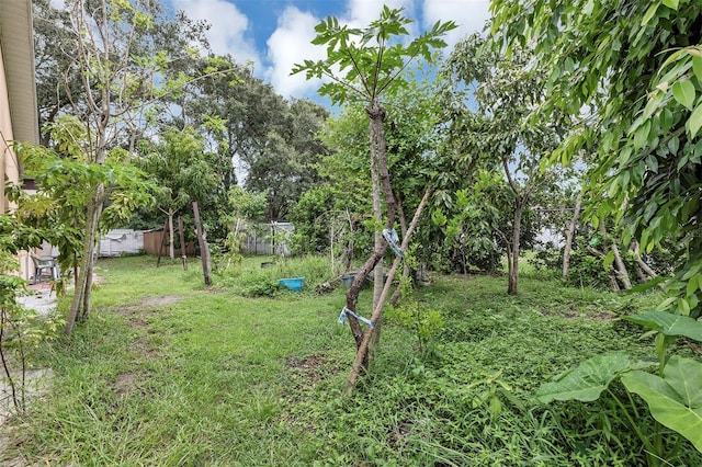600 Regency Way, Kissimmee, FL 34758 - view of yard