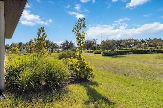 3224 Oxbow Ct, Harmony, FL 34773 - view of grassy yard