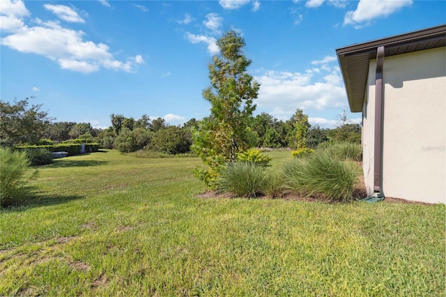 3224 Oxbow Ct, Harmony, FL 34773 - view of grassy yard