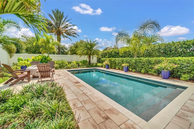 10836 Royal Cypress Way, Orlando, FL 32836 - view of swimming pool featuring a patio area and a fenced backyard