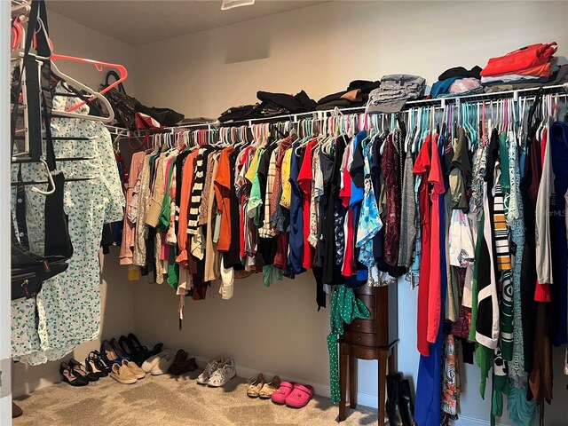 1896 Basenji Dr, Lake Alfred, FL 33850 - walk in closet with carpet floors