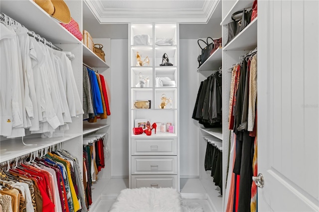 17795 Blazing Star Cir, Clermont, FL 34714 - view of walk in closet