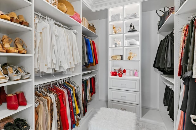 17795 Blazing Star Cir, Clermont, FL 34714 - view of spacious closet