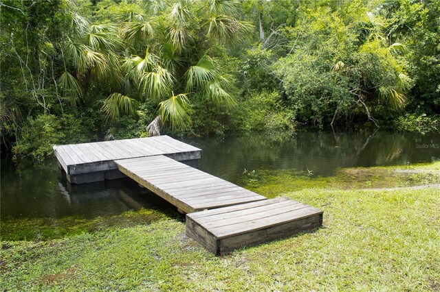 5367 Riverwalk Preserve Dr, New Port Richey, FL 34653 - photo 49