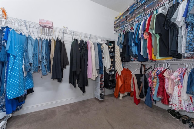 6651 Syreeta Ln, Harmony, FL 34773 - walk in closet with carpet