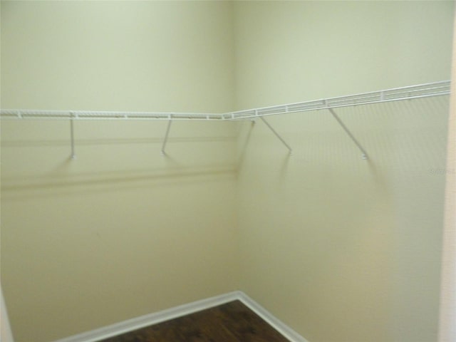 3074 Bay Laurel Cir N, Kissimmee, FL 34744 - spacious closet with dark wood-type flooring