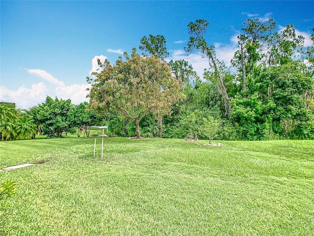 4109 Vessel Ct, Kissimmee, FL 34746 - photo 41