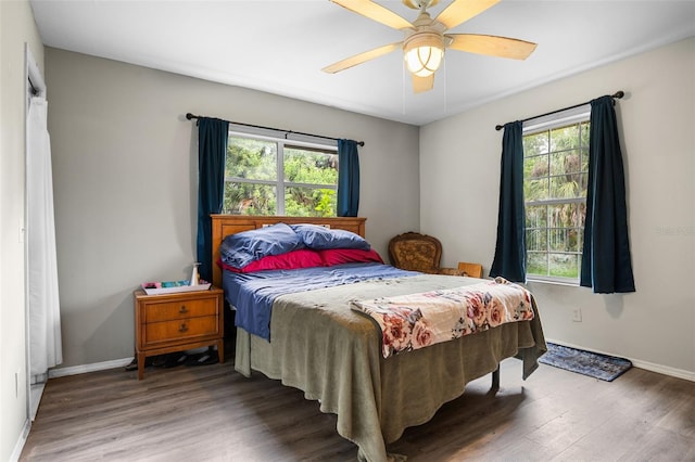 5381 Avocado Ave, Cocoa, FL 32926 - bedroom with multiple windows, wood finished floors, baseboards, and ceiling fan