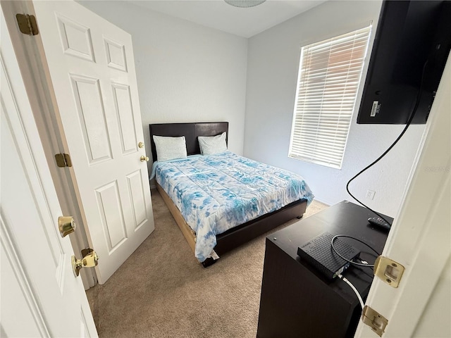 324 Palermo St, Davenport, FL 33897 - view of carpeted bedroom