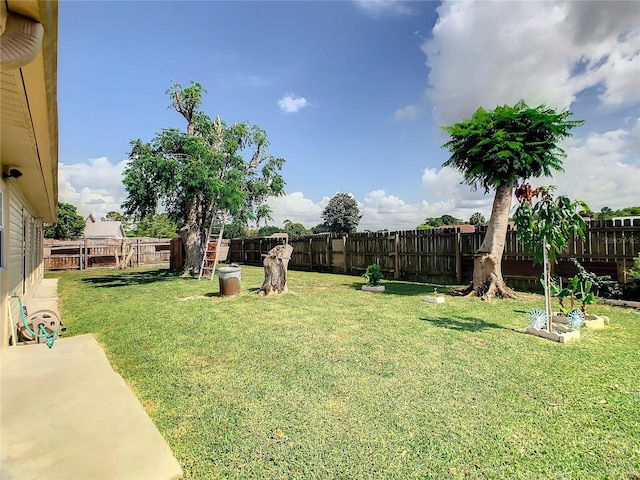 624 Royal Palm Dr, Kissimmee, FL 34743 - view of fenced backyard