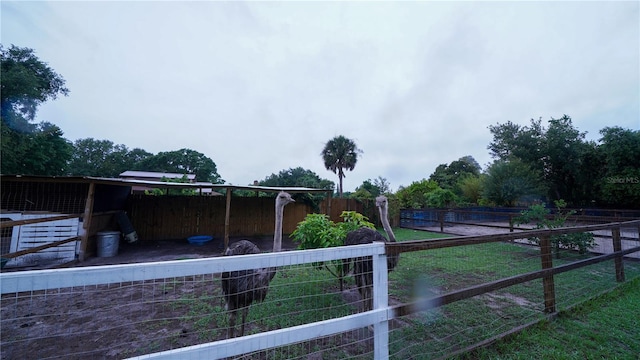 2851 Granada Blvd, Kissimmee, FL 34746 - view of yard