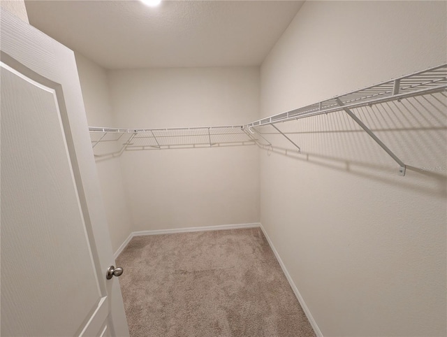 2479 White Lilly Dr, Kissimmee, FL 34747 - walk in closet with carpet