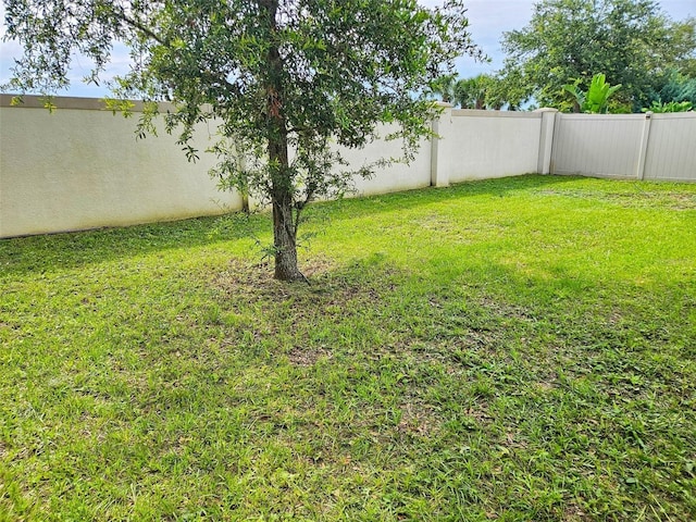 2479 White Lilly Dr, Kissimmee, FL 34747 - view of yard