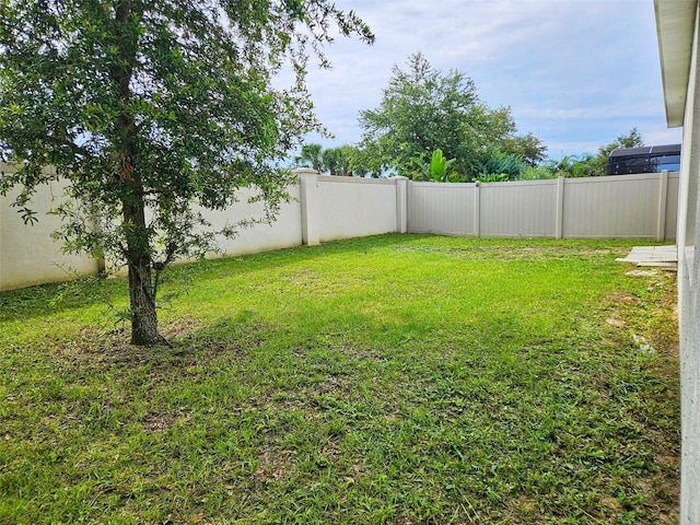 2479 White Lilly Dr, Kissimmee, FL 34747 - view of yard