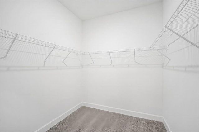 9127 Players Dr, Weeki Wachee, FL 34613 - walk in closet with carpet floors