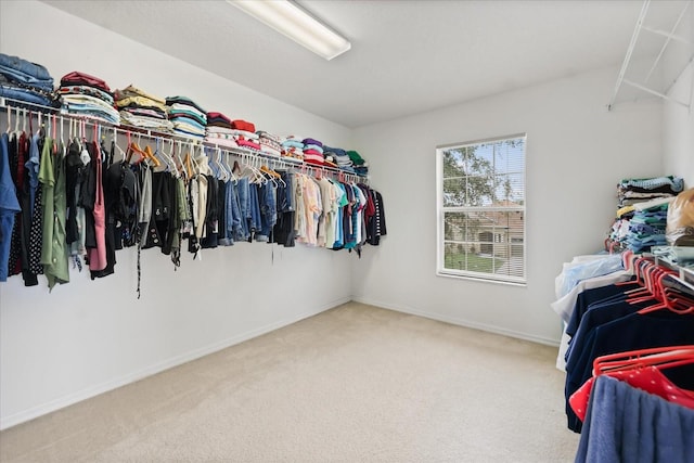 3335 Whistling Trl, Saint Cloud, FL 34772 - photo 24