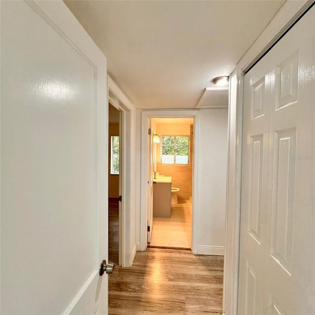 1615 NE 9th St, Ocala, FL 34470 - hallway featuring light wood finished floors and baseboards