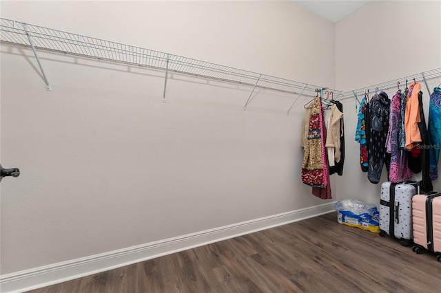 1598 Whitewood Ct, Kissimmee, FL 34747 - spacious closet with dark wood-type flooring