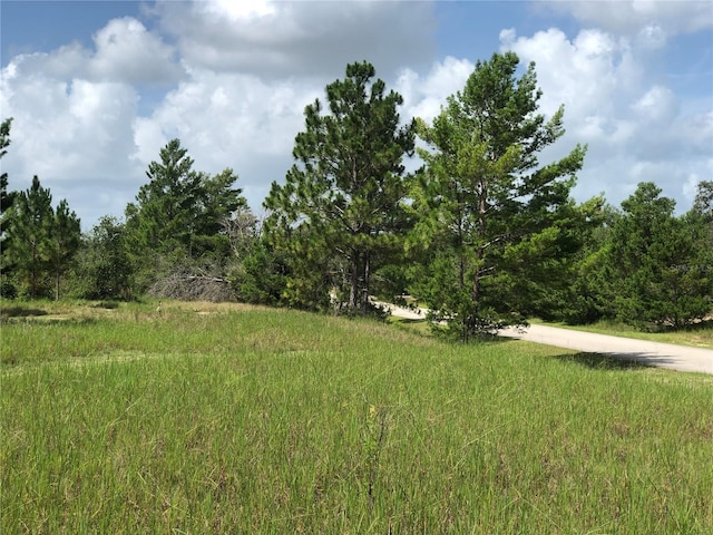 1005 Hawks Landing Dr, Sebring, FL 33875