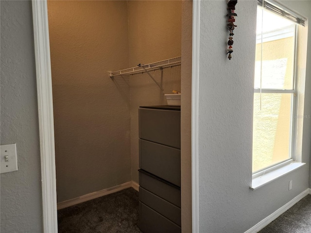 1325 Lake Shadow Cir Unit 12205, Maitland, FL 32751 - walk in closet featuring dark carpet