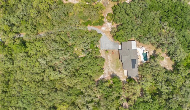 4410 Mildred Bass Rd, Saint Cloud, FL 34772 - photo 36