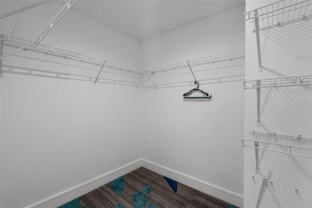 2561 Montego Bay Blvd, Kissimmee, FL 34746 - view of spacious closet