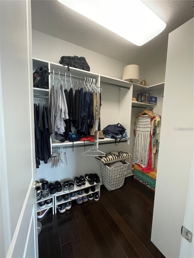 8919 Lakeshore Pointe Dr, Winter Garden, FL 34787 - walk in closet with hardwood / wood-style floors