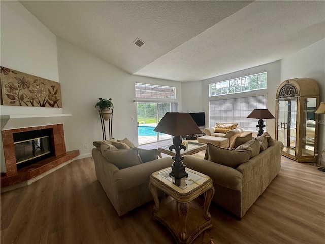 2356 Chadwick Cir, Kissimmee, FL 34746 - living area featuring wood finished floors, a glass covered fireplace, a textured ceiling, and vaulted ceiling