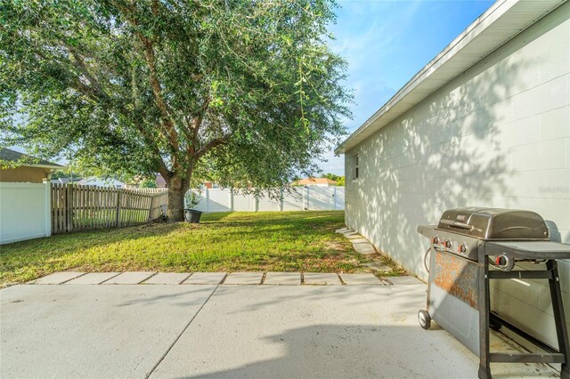 1913 Manatee Ct, Kissimmee, FL 34759 - photo 22