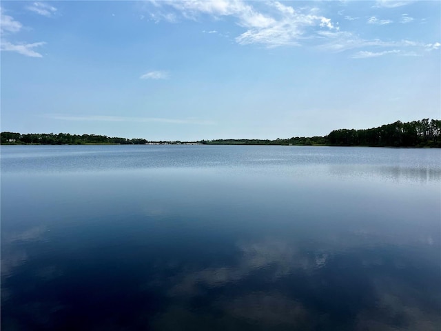 1106 Gran Bahama Blvd Unit 1106, Davenport, FL 33897 - water view
