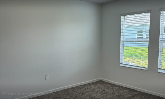 553 SE Turtle, Haines City, FL 33844 - spare room with dark colored carpet and plenty of natural light