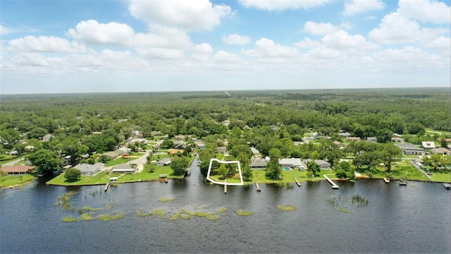1186 Laguna Cir, Saint Cloud, FL 34771 - photo 6