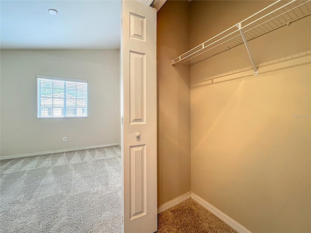10746 Regent Square Dr Unit 1502, Orlando, FL 32825 - view of closet