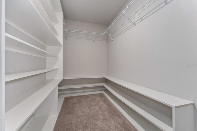 5288 Stephs Field St, Saint Cloud, FL 34771 - view of spacious closet