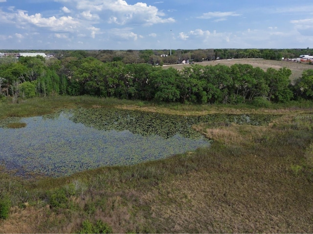 403 N Blvd W, Davenport, FL 33837