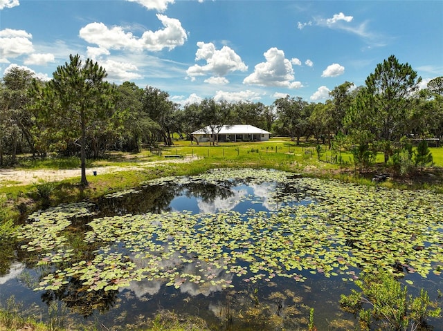 11323 Kijik Trl, Groveland, FL 34736 - water view