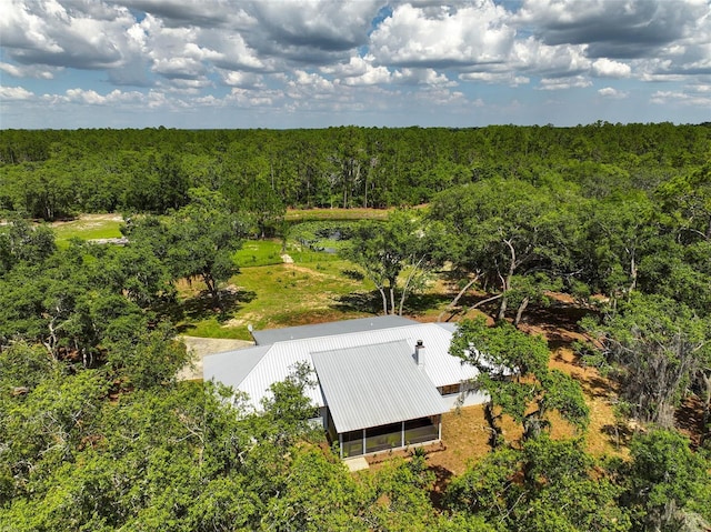 11323 Kijik Trl, Groveland, FL 34736 - view of subject property with a forest