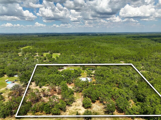 11323 Kijik Trl, Groveland, FL 34736 - aerial view of property's location with a heavily wooded area and property parcel outlined