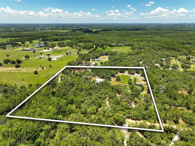 11323 Kijik Trl, Groveland, FL 34736 - overview of rural landscape featuring property boundaries highlighted and a heavily wooded area