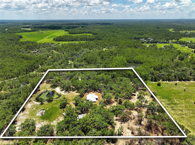11323 Kijik Trl, Groveland, FL 34736 - aerial view of property and surrounding area featuring property boundaries highlighted and a forest