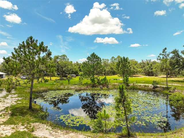 11323 Kijik Trl, Groveland, FL 34736 - water view