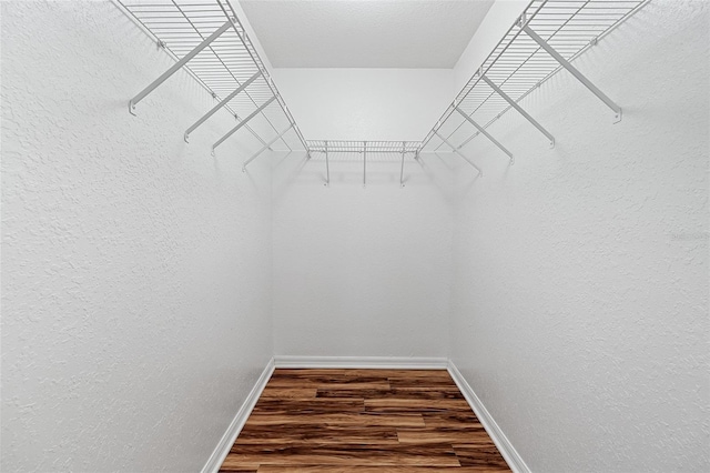 11323 Kijik Trl, Groveland, FL 34736 - spacious closet with wood finished floors