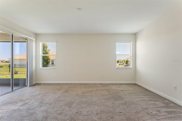 1101 Downswing Pl, Davenport, FL 33896 - spare room with plenty of natural light, carpet floors, and baseboards