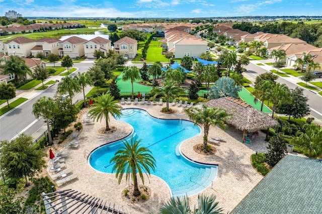 1101 Downswing Pl, Davenport, FL 33896 - view of pool with a residential view