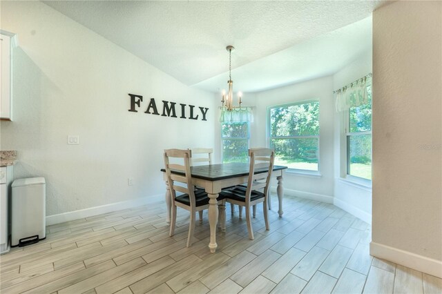 6644 SW 179th Court Rd, Dunnellon, FL 34432 - dining room with a chandelier, baseboards, light wood-type flooring, and a textured ceiling