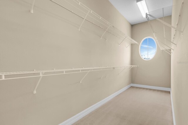2255 Stone Lake Ct, Orlando, FL 32824 - spacious closet with carpet floors