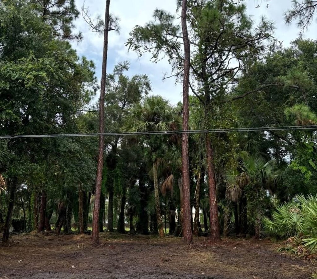 617 Harrington St SW, Palm Bay, FL 32908 - photo 2