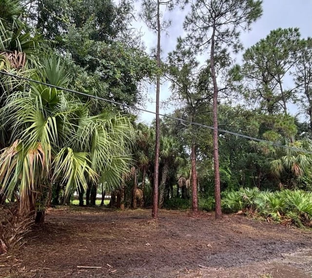 617 Harrington St SW, Palm Bay, FL 32908 - photo 4