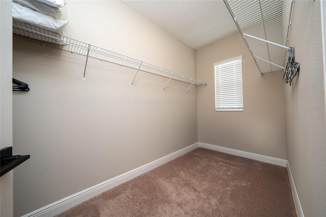 1335 Greenfield Loop, Kissimmee, FL 34747 - walk in closet with carpet