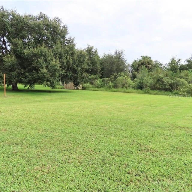 2805 Rodeo Dr, Kissimmee, FL 34746 - view of green lawn